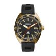 Fossil BR