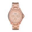 Fossil BR
